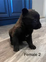 processed/39fb9f58-2883-4050-a8de-248be2e8aaf4/listing/b56d5d4a-d718-4d26-b77e-3db78d66548c/5a7f76e5-a1c8-49cb-bf76-0c8281036c45