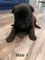 processed/39fb9f58-2883-4050-a8de-248be2e8aaf4/listing/e6dd67c2-d960-4695-b08d-1a9dd209f49b/350c7e53-f86a-46eb-bc3a-7c3b8b4aad32