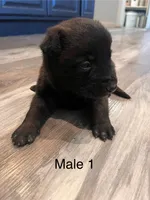 processed/39fb9f58-2883-4050-a8de-248be2e8aaf4/listing/e6dd67c2-d960-4695-b08d-1a9dd209f49b/9d0cf5b7-54c0-4a79-b984-ae18980f9585