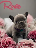 processed/3a080763-ace6-40d4-92b1-6519b1756e5b/listing/af6adebe-f729-4110-822e-f0a08a106171/357db957-c9a3-4f09-a6f2-7e0a6ec45e0f