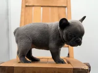 processed/3a080763-ace6-40d4-92b1-6519b1756e5b/listing/af6adebe-f729-4110-822e-f0a08a106171/c75c6f00-4f2f-433b-9f6e-31cb778767a9