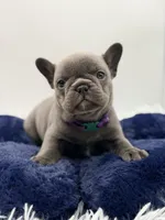 processed/3a080763-ace6-40d4-92b1-6519b1756e5b/listing/af6adebe-f729-4110-822e-f0a08a106171/d81d8544-318d-405c-ac7a-5d2c646bc9cd