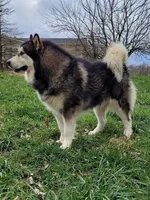 processed/3a110eca-481e-4e38-bae9-31ad81fbd16a/facility/1fcc540a-c789-479f-919c-c5b0c9dfa68f