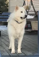 processed/3a110eca-481e-4e38-bae9-31ad81fbd16a/facility/45fd74f3-8257-4f27-b3f0-aa4f9f5407ef