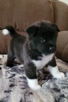 processed/3a110eca-481e-4e38-bae9-31ad81fbd16a/facility/7f4eb9cb-5440-42f0-ba61-00895d22ce8f