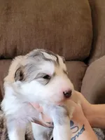 processed/3a110eca-481e-4e38-bae9-31ad81fbd16a/facility/96a19cec-3357-4d70-ab70-c6e0ccd1916a