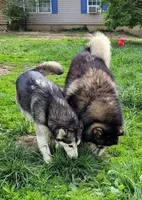 processed/3a110eca-481e-4e38-bae9-31ad81fbd16a/facility/e20ef1c1-888f-4efb-afbb-8d09b0354bda