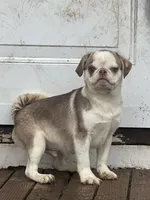 processed/3a12c1e8-8e55-4000-ae16-437d45afe46f/listing/2384aecf-51f4-4416-896a-333b42a80a5d/67dd7439-2ba2-4d97-93cd-9208ca2f0b42