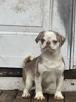 processed/3a12c1e8-8e55-4000-ae16-437d45afe46f/listing/2384aecf-51f4-4416-896a-333b42a80a5d/68ff4bc9-be19-4d8c-9ae1-f22f03cfe671