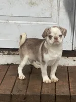 processed/3a12c1e8-8e55-4000-ae16-437d45afe46f/listing/2384aecf-51f4-4416-896a-333b42a80a5d/e9213769-ddc6-44eb-b47d-a825f5a6e0fa