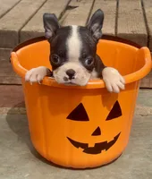 processed/3a12c1e8-8e55-4000-ae16-437d45afe46f/listing/46cf6f96-4f63-4672-8831-72308efb419d/6746165f-c560-4d8b-b600-7ca9fde5ea3b