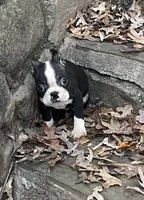 processed/3a12c1e8-8e55-4000-ae16-437d45afe46f/listing/46cf6f96-4f63-4672-8831-72308efb419d/9c136806-7697-4f3b-a993-7810cf4558cb