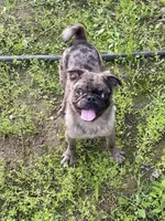 processed/3a12c1e8-8e55-4000-ae16-437d45afe46f/listing/4c6a9135-31c8-45a9-b8c7-20018af31ec3/acfb91f1-f3bd-4b31-85ca-b3869ff3f732