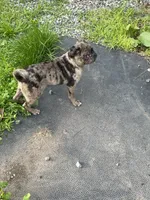 processed/3a12c1e8-8e55-4000-ae16-437d45afe46f/listing/4c6a9135-31c8-45a9-b8c7-20018af31ec3/b9d902e1-a32c-491f-95b3-2355f8e7da4d