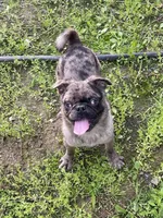 processed/3a12c1e8-8e55-4000-ae16-437d45afe46f/listing/4c6a9135-31c8-45a9-b8c7-20018af31ec3/c4cd0bee-f456-4015-b861-2d656f3c02be