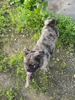 processed/3a12c1e8-8e55-4000-ae16-437d45afe46f/listing/4c6a9135-31c8-45a9-b8c7-20018af31ec3/f8c01ec9-4496-4400-aa69-4f1a5e1ae337