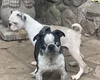 processed/3a12c1e8-8e55-4000-ae16-437d45afe46f/listing/7595018b-27cf-425d-aabd-e077e625fa8f/6455a69c-5b94-40ab-9b29-0902ed5efd28