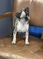 processed/3a12c1e8-8e55-4000-ae16-437d45afe46f/listing/b42b6250-58af-4155-860c-e0af1743e010/3bc2f0d3-3bb8-4d70-91e7-341db7adabe1