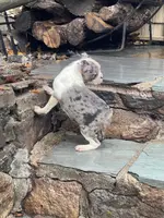 processed/3a12c1e8-8e55-4000-ae16-437d45afe46f/listing/c5f99222-4f89-4b2a-ad6b-0de9d0f7cff4/75eeb1e5-65b7-4e57-b727-2a60ef36e0e5