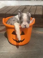 processed/3a12c1e8-8e55-4000-ae16-437d45afe46f/listing/c5f99222-4f89-4b2a-ad6b-0de9d0f7cff4/dbbe9f9b-2d07-444b-b502-17cd64482f80