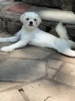 processed/3a12c1e8-8e55-4000-ae16-437d45afe46f/listing/d4b432f4-dfc5-486f-9321-d33b2f548086/7be31282-a516-4b32-b105-34baf5bf498f