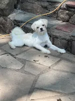 processed/3a12c1e8-8e55-4000-ae16-437d45afe46f/listing/d4b432f4-dfc5-486f-9321-d33b2f548086/7c77e13a-4065-4729-bf19-6e42973126f3