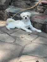 processed/3a12c1e8-8e55-4000-ae16-437d45afe46f/listing/d4b432f4-dfc5-486f-9321-d33b2f548086/9343dbc7-8bfb-4442-b4f7-966436d5eef2