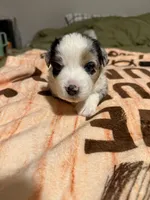 processed/3a12fd72-e8ba-4b81-afd2-cb7f0d5b35c8/listing/91c05cc2-7eb9-4a8f-a1ab-1aed44146d3f/4391c110-bbc7-47ce-8d4c-3c570a54dae9