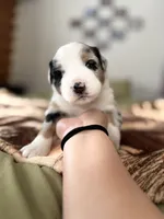 processed/3a12fd72-e8ba-4b81-afd2-cb7f0d5b35c8/listing/91c05cc2-7eb9-4a8f-a1ab-1aed44146d3f/50f16e10-fc04-4056-810e-39350ad10709