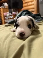 processed/3a12fd72-e8ba-4b81-afd2-cb7f0d5b35c8/listing/91c05cc2-7eb9-4a8f-a1ab-1aed44146d3f/606147ef-c71b-499f-8a5c-4b650429b2e4