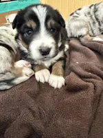 processed/3a12fd72-e8ba-4b81-afd2-cb7f0d5b35c8/listing/aa88d0fe-f69c-4eef-9b44-f6673e22dd23/12976086-82f0-4492-994b-56e2da904486