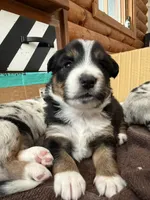 processed/3a12fd72-e8ba-4b81-afd2-cb7f0d5b35c8/listing/aa88d0fe-f69c-4eef-9b44-f6673e22dd23/2622ecca-add9-4150-8950-45e15bca76cc