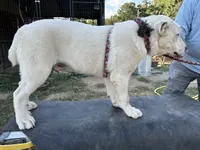 processed/3a1b440d-2420-43b5-92ee-d798d14c5fc7/listing/420cc70b-d984-4788-9f85-441ef0b680b0/53f11473-7813-43da-98e2-1e07252e43cf