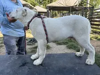 processed/3a1b440d-2420-43b5-92ee-d798d14c5fc7/listing/420cc70b-d984-4788-9f85-441ef0b680b0/7648bd24-ed9c-4fa2-80bc-302fd58e0302