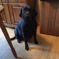 processed/3a1f43d2-8da3-49d8-bd2b-459a51845cf0/facility/1eb11c39-1a22-42bf-9fc3-f6082fb6e13a