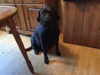 processed/3a1f43d2-8da3-49d8-bd2b-459a51845cf0/facility/1eb11c39-1a22-42bf-9fc3-f6082fb6e13a