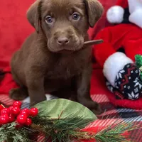 processed/3a1f43d2-8da3-49d8-bd2b-459a51845cf0/facility/28c21bfe-3af9-42e4-9f42-703dedc1782a