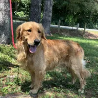 processed/3a1f43d2-8da3-49d8-bd2b-459a51845cf0/facility/33aaea97-9cfa-4117-8bae-90b28274e6f7