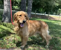 processed/3a1f43d2-8da3-49d8-bd2b-459a51845cf0/facility/33aaea97-9cfa-4117-8bae-90b28274e6f7