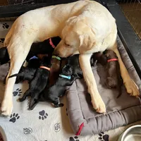 processed/3a1f43d2-8da3-49d8-bd2b-459a51845cf0/facility/7452f3e2-2129-412f-bad4-df6f2fe0f380