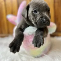 processed/3a1f43d2-8da3-49d8-bd2b-459a51845cf0/facility/74c8643b-b3f7-478c-ad6c-2a6398c83252