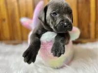 processed/3a1f43d2-8da3-49d8-bd2b-459a51845cf0/facility/74c8643b-b3f7-478c-ad6c-2a6398c83252