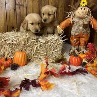 processed/3a1f43d2-8da3-49d8-bd2b-459a51845cf0/facility/790430f8-8665-4ba4-8a5c-9a674cec9433