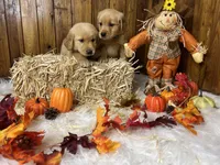 processed/3a1f43d2-8da3-49d8-bd2b-459a51845cf0/facility/790430f8-8665-4ba4-8a5c-9a674cec9433