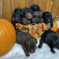 processed/3a1f43d2-8da3-49d8-bd2b-459a51845cf0/facility/945b3063-0f1c-4b98-8e96-ffa0549b883e