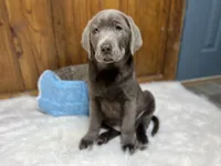 processed/3a1f43d2-8da3-49d8-bd2b-459a51845cf0/facility/c50053bd-f8b6-4fe0-8b6d-b28d88f84b20