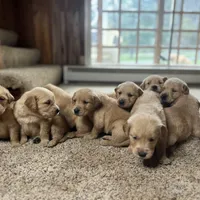 processed/3a1f43d2-8da3-49d8-bd2b-459a51845cf0/facility/e1135289-cc28-4f4c-89f2-0c58c26b37a2