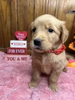 processed/3a1f43d2-8da3-49d8-bd2b-459a51845cf0/listing/12a95bfb-2ecb-4b5b-a8e8-2df0afc0a784/da8ff17a-d7a2-4c6d-bf68-c9820e9e9daf