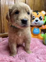 processed/3a1f43d2-8da3-49d8-bd2b-459a51845cf0/listing/635669c9-6faf-4185-bd94-7bb9cfc0e65f/73a0e24f-d2e9-4bab-8b74-51560f21dd1f