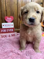 processed/3a1f43d2-8da3-49d8-bd2b-459a51845cf0/listing/635669c9-6faf-4185-bd94-7bb9cfc0e65f/fbf6580a-1f2a-472c-81cf-4380d557fb9d